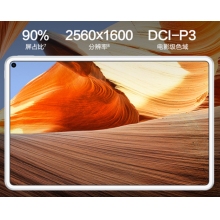 华为HUAWEI MatePad Pro 10.8英寸