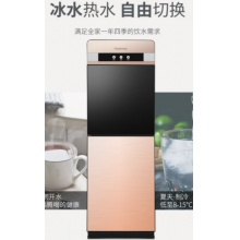长虹饮水机立式双开门推杯升级饮水机温热款CYS-E09