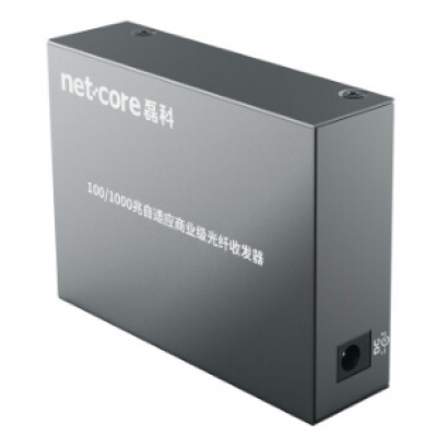 磊科 NFG03单模单纤光纤收发器光电转换器 NFG03A 单只（千兆）