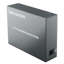 磊科 NFG03单模单纤光纤收发器光电转换器 NFG03A 单只（千兆）